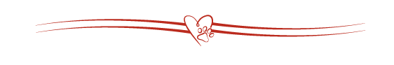 BF – Bestattungen Friedrichson